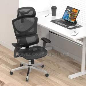 High Back Ergonomic Chair