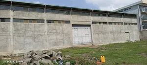 ለሽጭ የቀረበ መጋዝን አስፓልት ቅርብላይ ያለ