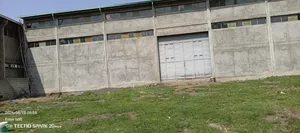 ለሽጭ የቀረበ መጋዝን አስፓልት ቅርብላይ ያለ