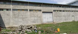 ለሽጭ የቀረበ መጋዝን አስፓልት ቅርብላይ ያለ