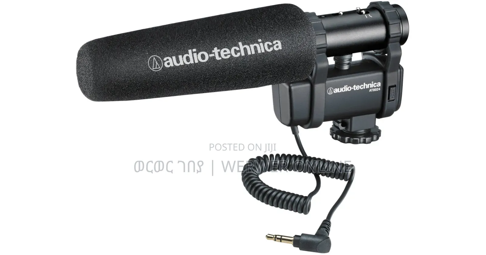AT8024 Professional Shotgun Mic