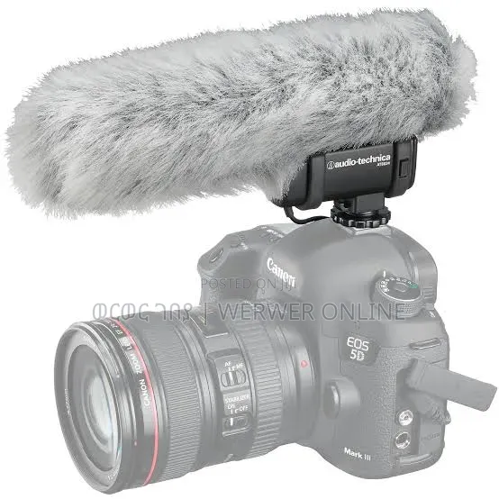 AT8024 Professional Shotgun Mic