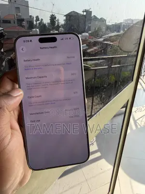 Apple iPhone 15 Pro Max 256 GB Silver