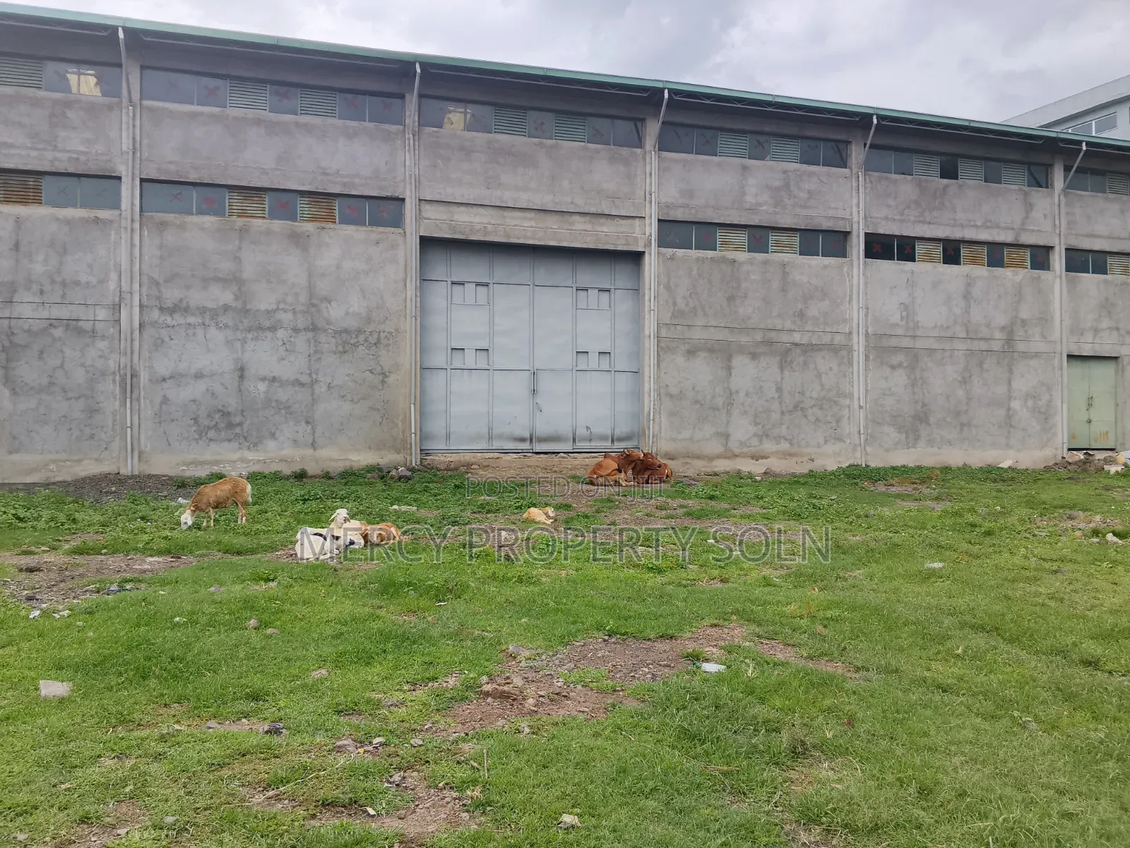 Warehouse for Sale in Kaliti Addis Ababa