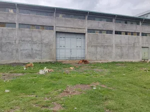 Warehouse for Sale in Kaliti Addis Ababa