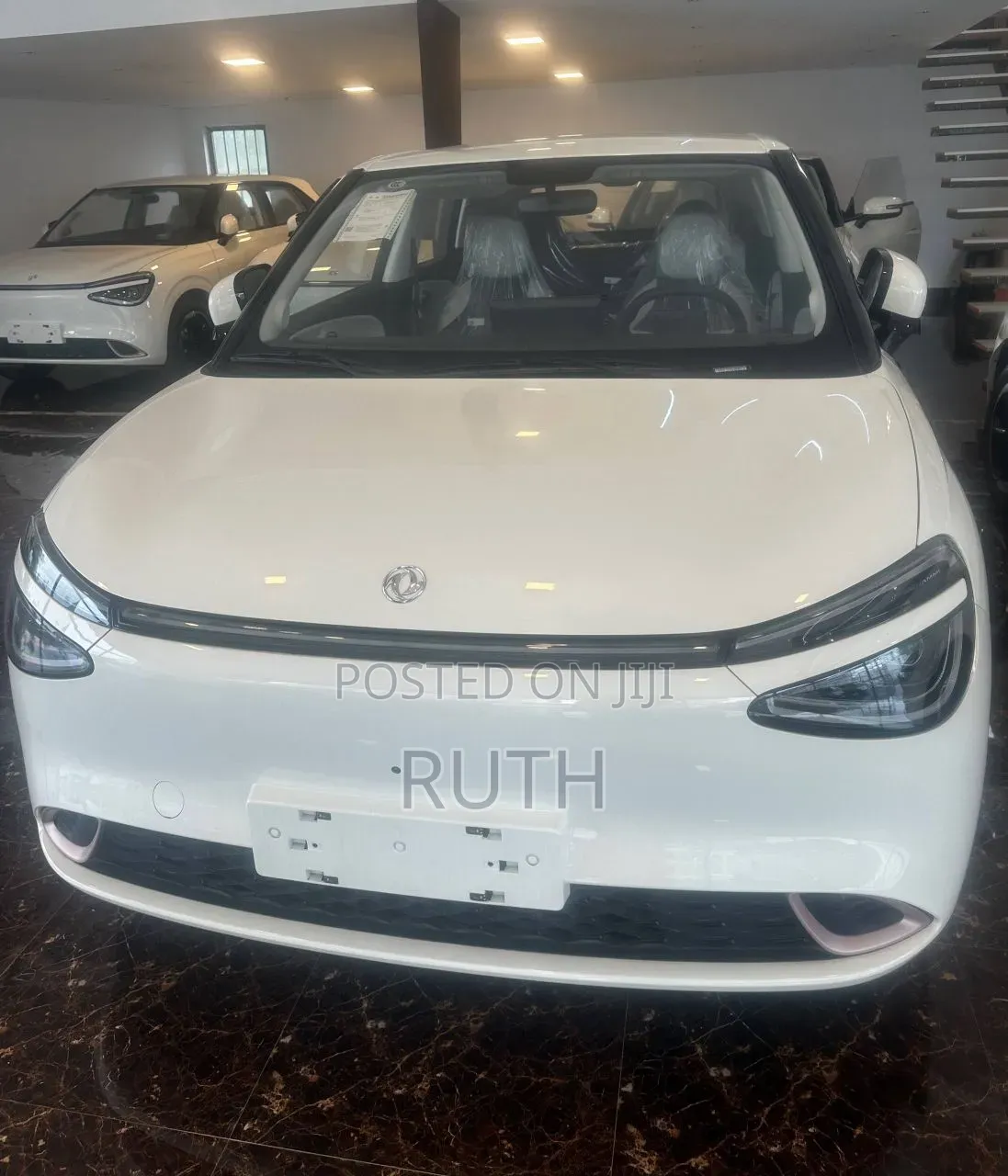 New Dongfeng Nammi 01 2025 White