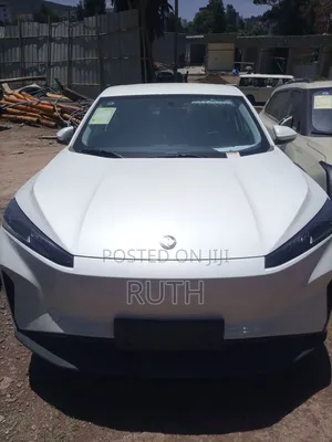 New Dongfeng Nammi 01 2025 White