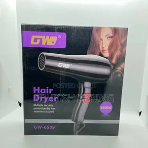 Designed for Professionals and Home Users Alike, the GW Professional