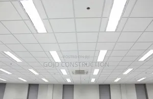 Acoustic Armstrong Ceiling