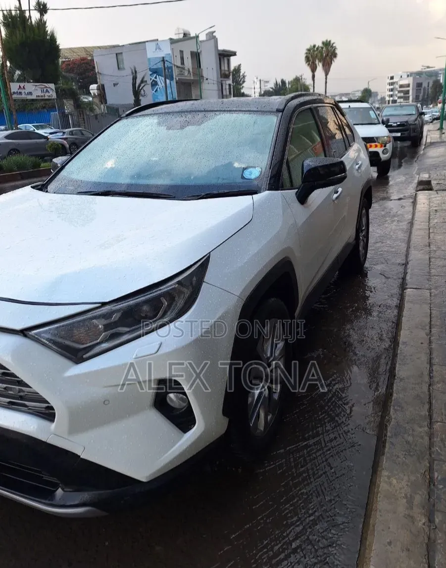 Toyota RAV4 2019