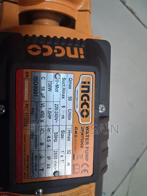 Ingco Water Pump