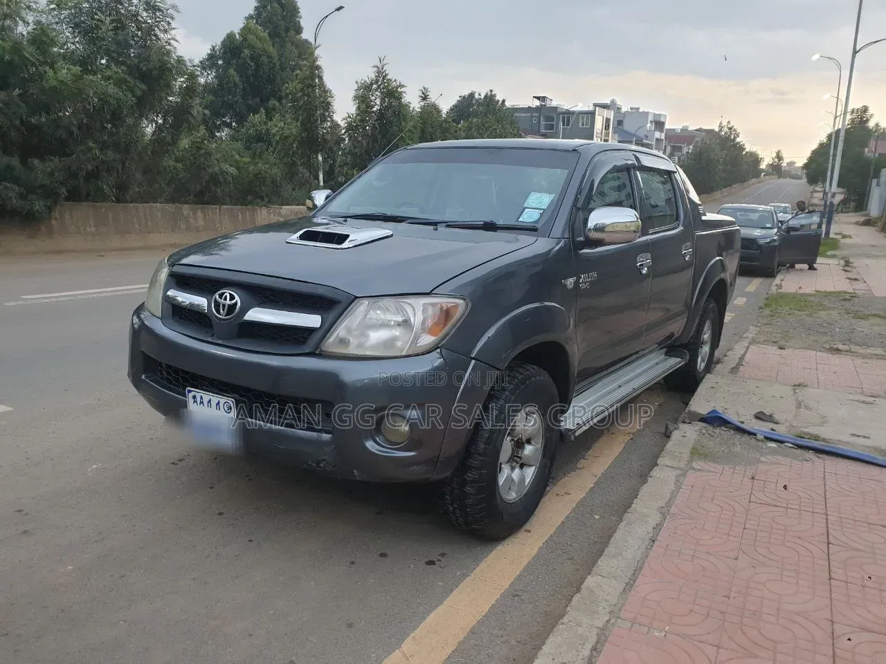 Toyota Hilux 2010 Gray