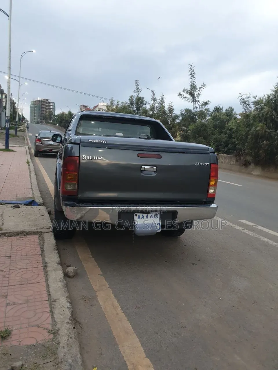 Toyota Hilux 2010 Gray