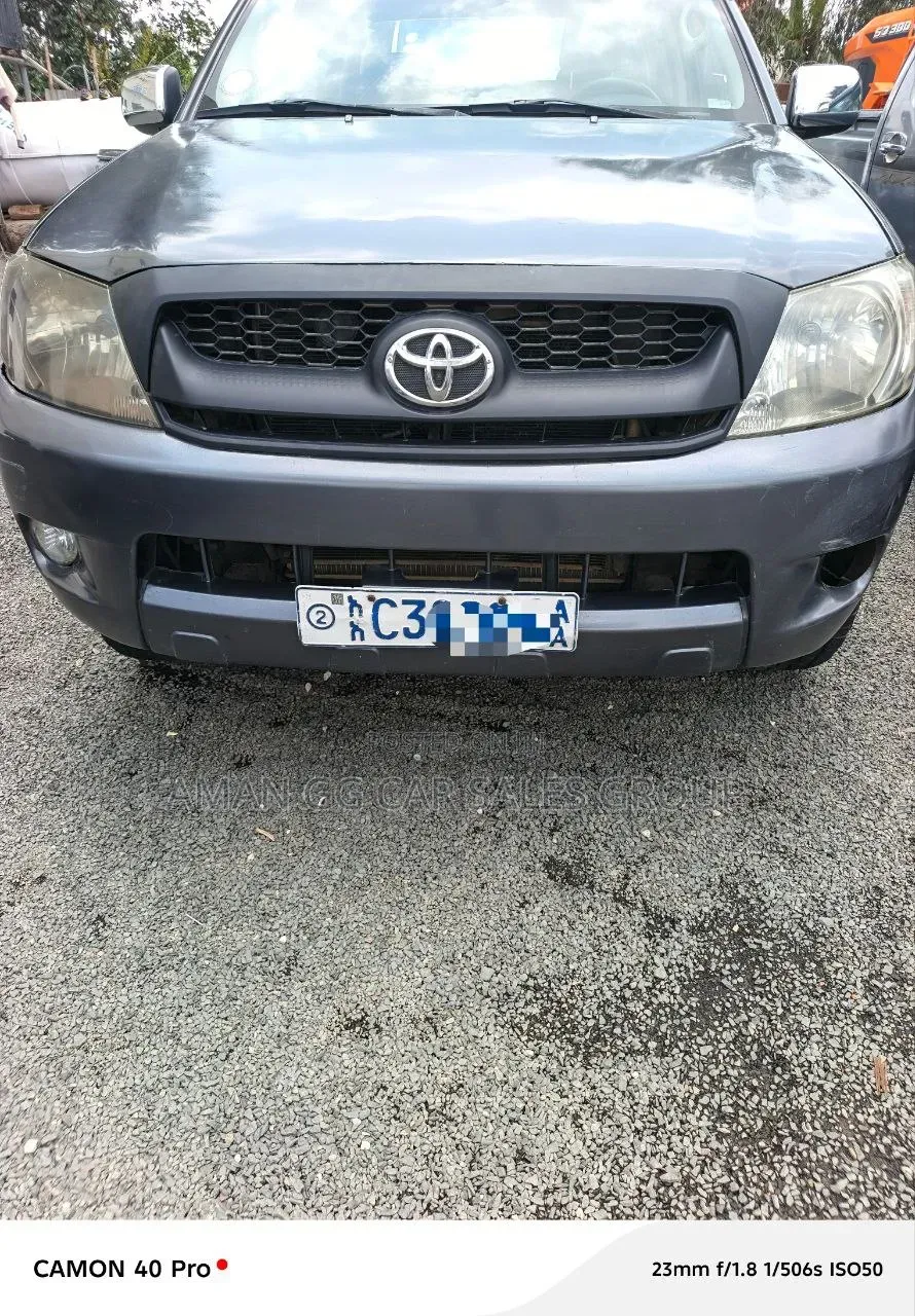 Toyota Hilux 2010 Gray