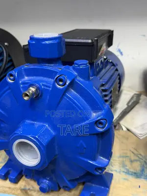 Speroni Surface Water Pump