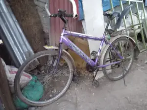 አሪፍ ሳይክል በአሪፍ ዋጋ