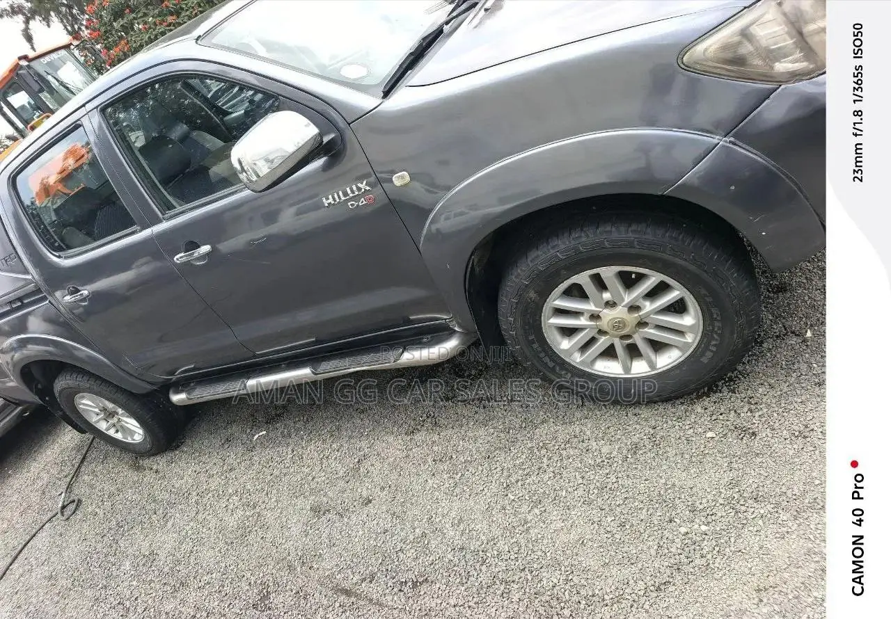 Toyota Hilux 2010 Gray