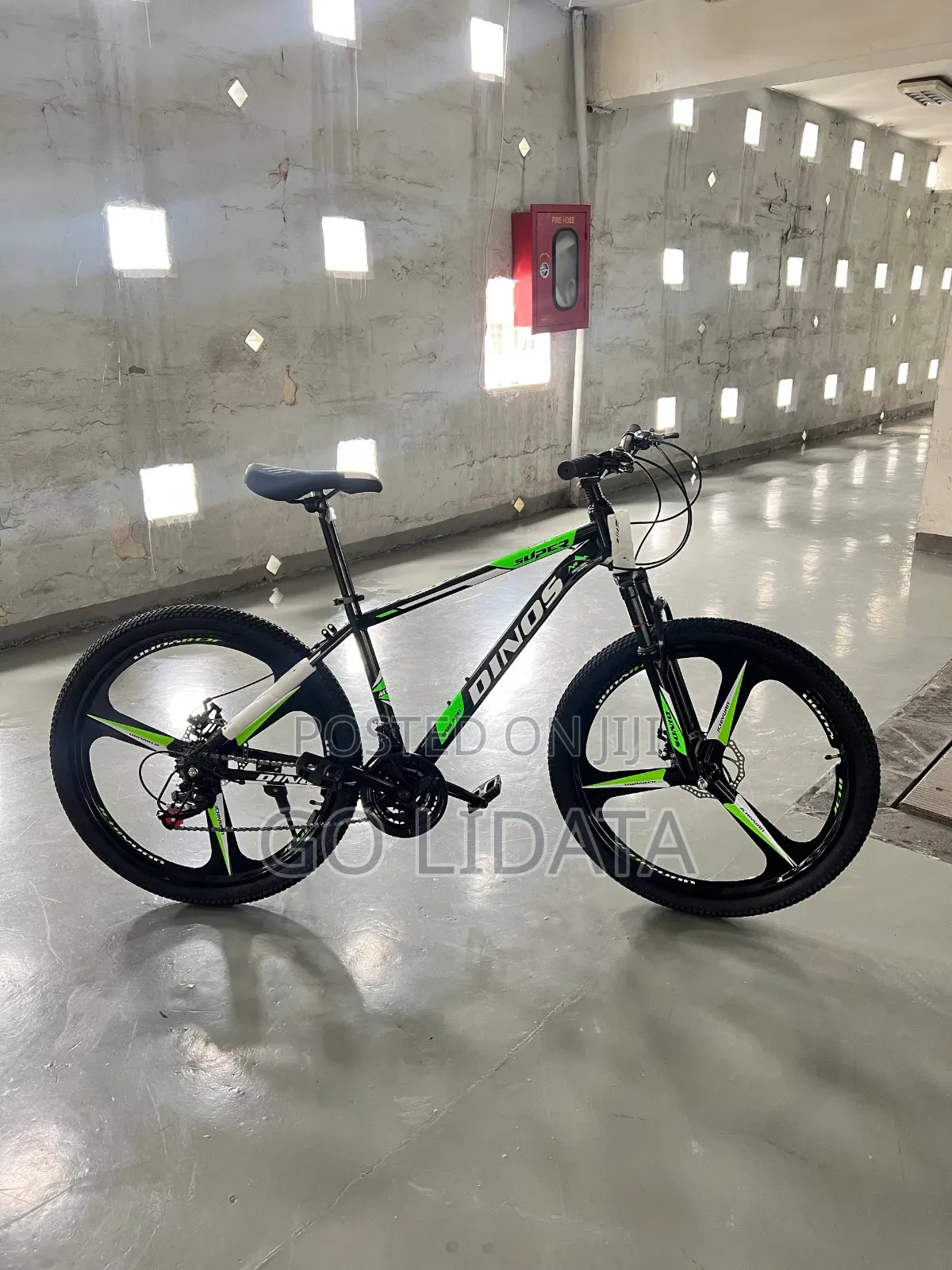 DINOS ሳይክል ለዕለታዊ እንቅስቃሴ — DINOS Bike for Daily Exercise