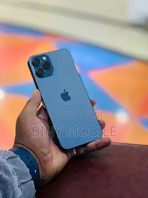 Apple iPhone 12 Pro Max 256 GB Blue