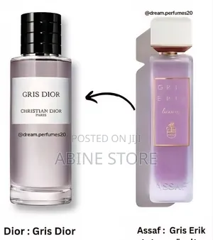 Gris Erik Ladies Perfume