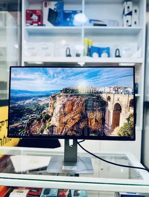 Dell24 Inch Monitor
