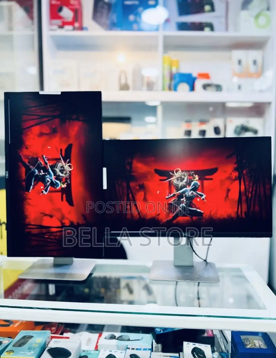 Dell24 Inch Monitor