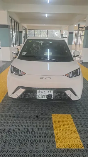 BYD Seagull 2025 White