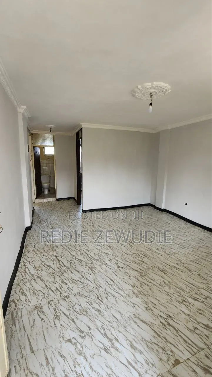 Furnished 1bdrm Condo in Cond, Bole for sale
