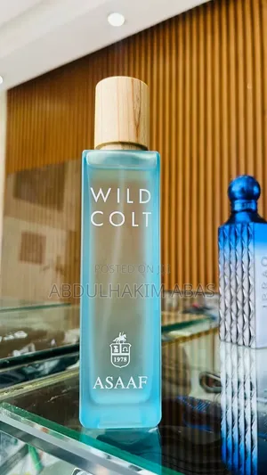 WILD COLT by Assaaf
