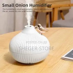 Brand New Onion Room Humidifier የቤት ውስጥ መዓዛ ማጨሻ