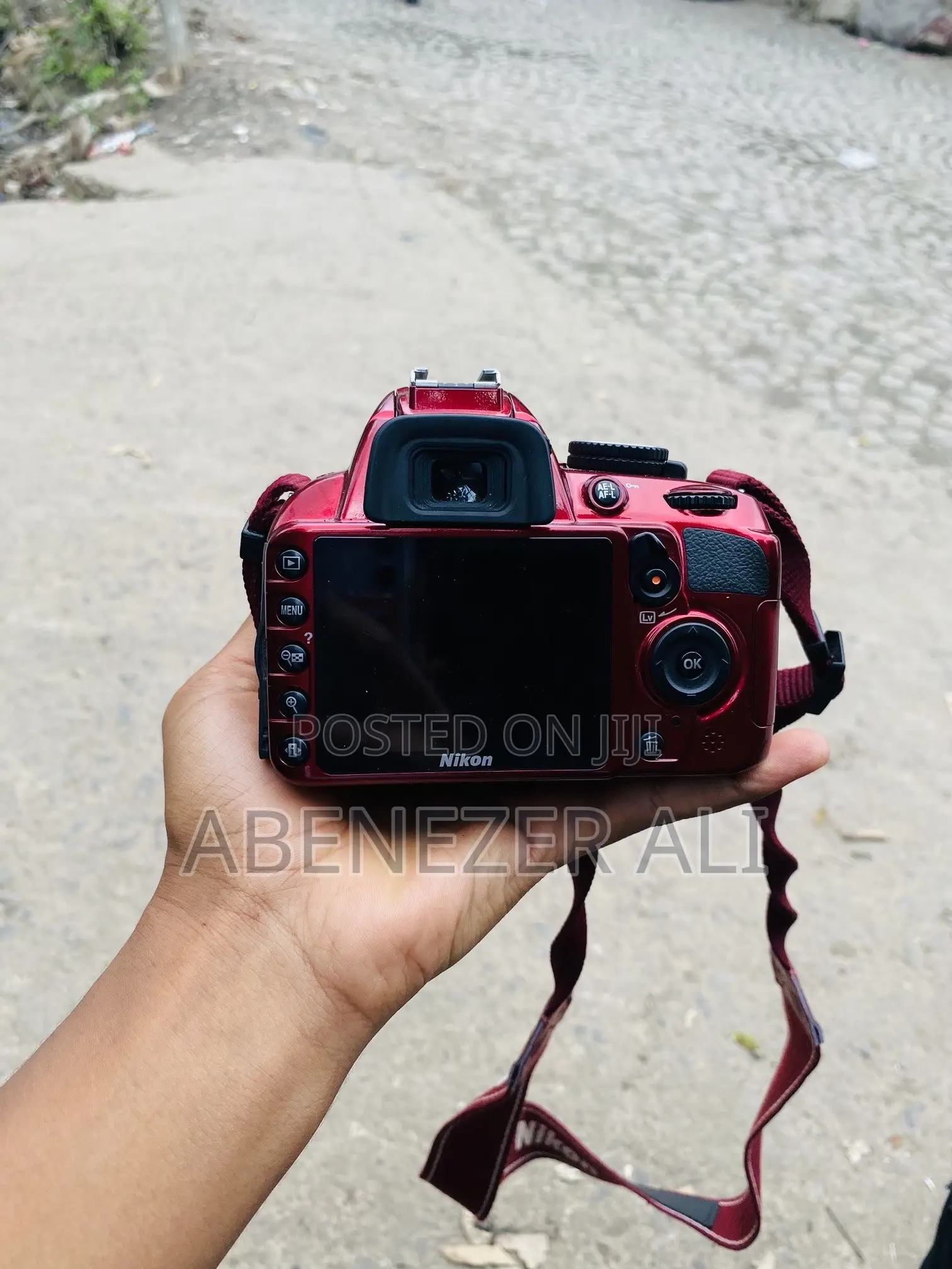 Nikon D3100