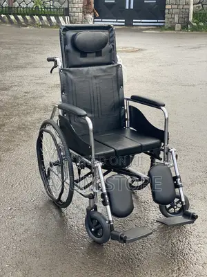 የዕለት ተዕለት ጓደኛ — Everyday Mobility Companion