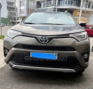 Toyota RAV4 2016 Brown