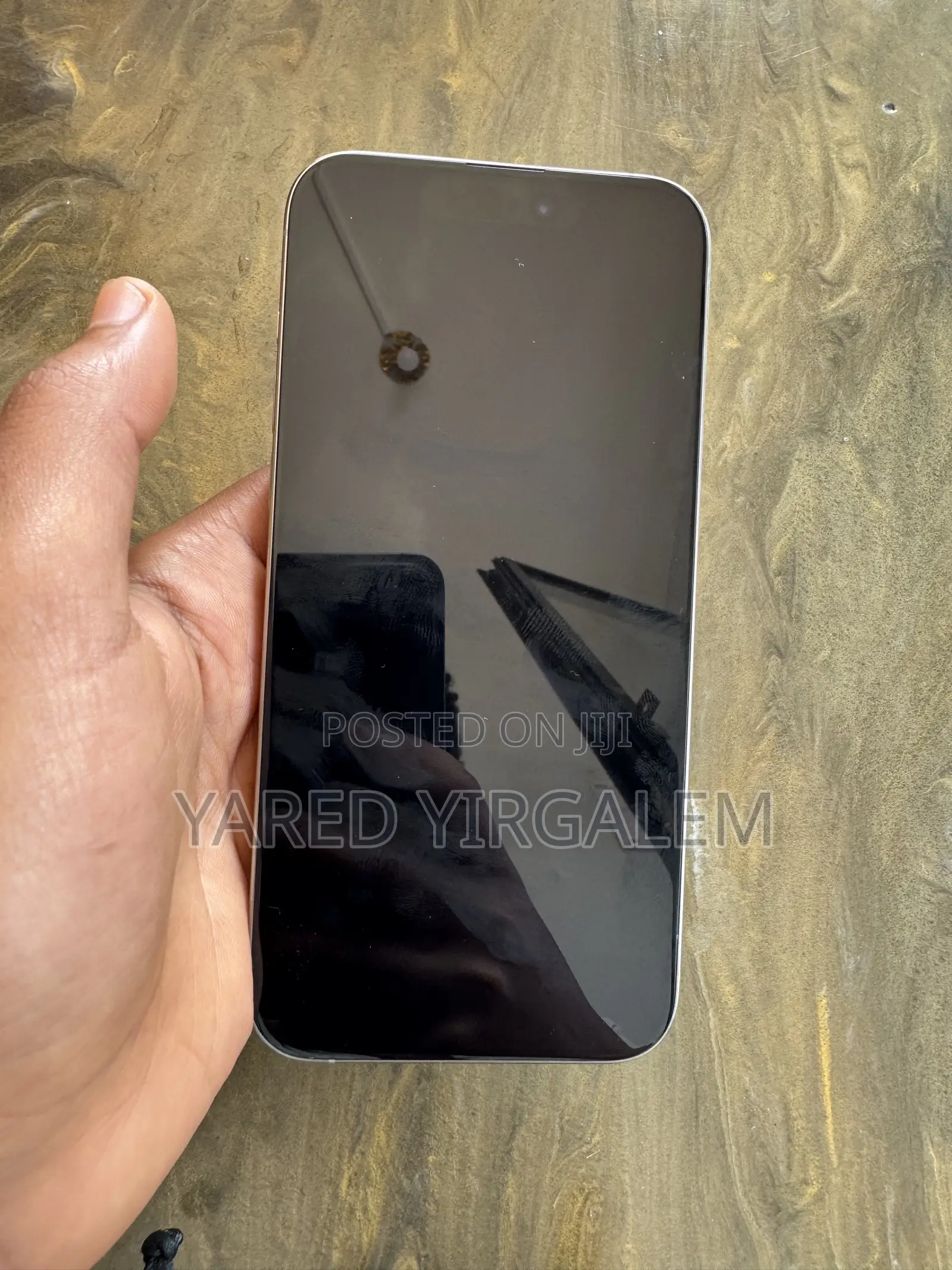 Apple iPhone 15 Pro Max 256 GB Silver