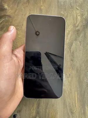 Apple iPhone 15 Pro Max 256 GB Silver