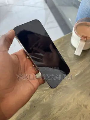 Apple iPhone 15 Pro Max 256 GB Silver