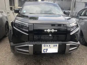 BYD Leopard 3 2026 Black