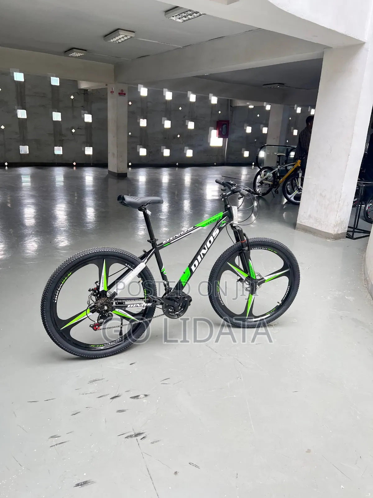DINOS ጠንካራ ማውንቴን ሳይክል — DINOS Strong Mountain Bike