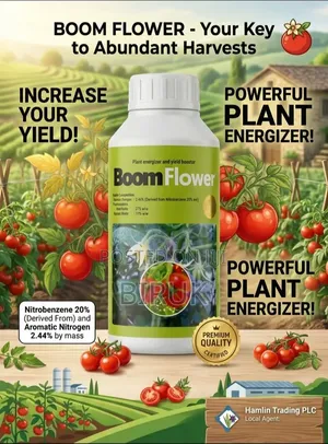 Boom Flower ቡም ፍላወር