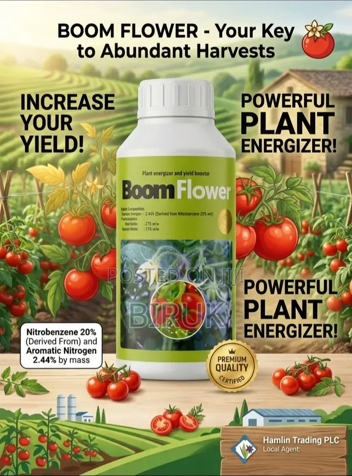 Boom Flower ቡም ፍላወር