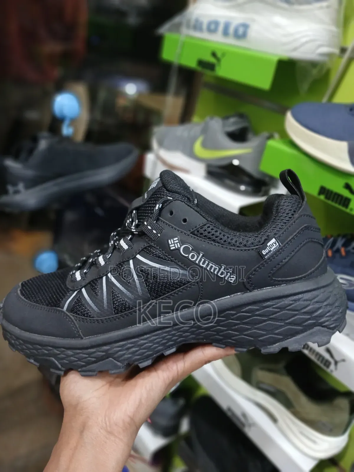 Fashion New