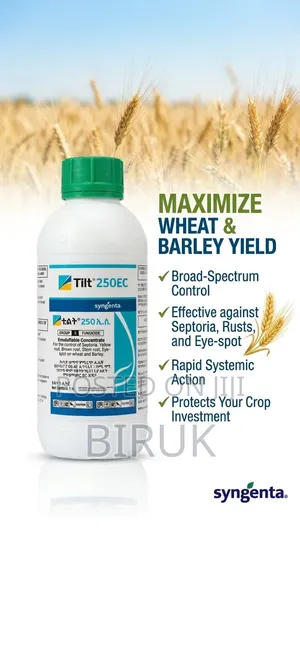 Tilt 250 EC Fungicide (ፈንገስ ማጥፊያ)