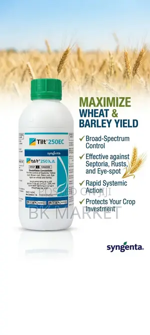 Tilt 250 EC Fungicide (ፈንገስ ማጥፊያ)
