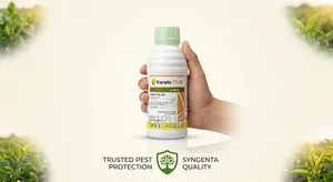 Syngenta Karate 5% EC Insecticide (ፀረ ተባይ)