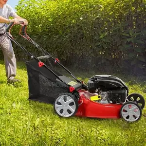 Gasoline Lawnmower/የሳር ማጬጃ