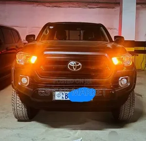 Toyota Tacoma 2021 Gray