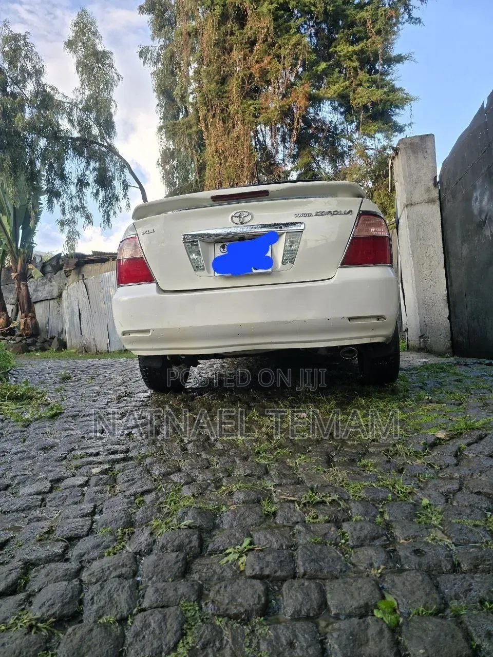 Toyota Corolla 2007 White