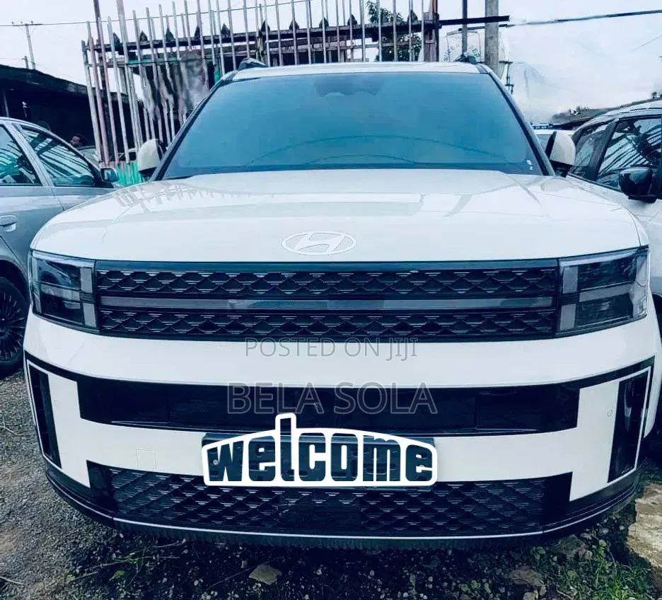 Hyundai Santa Fe 2024 White