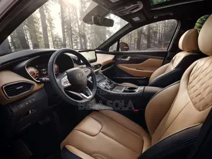 Hyundai Santa Fe 2024 White