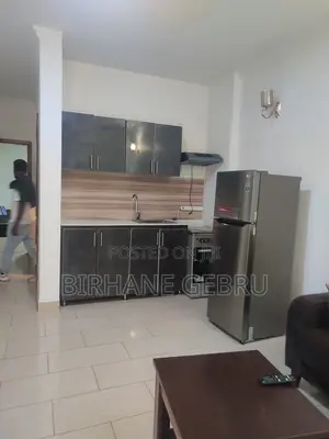 Furnished 1bdrm Apartment in Luxury Ferinshed, Bole for rent